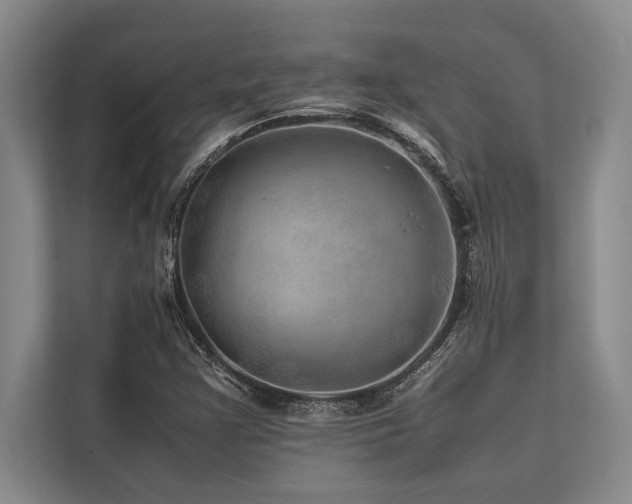 X0000113641355200909181448