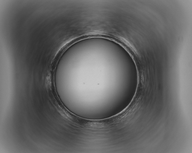 X0000113641356200909181448