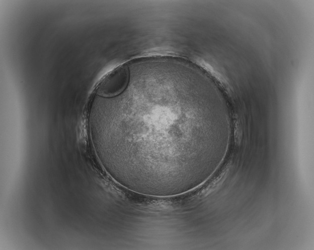 X0000113641358200909181448