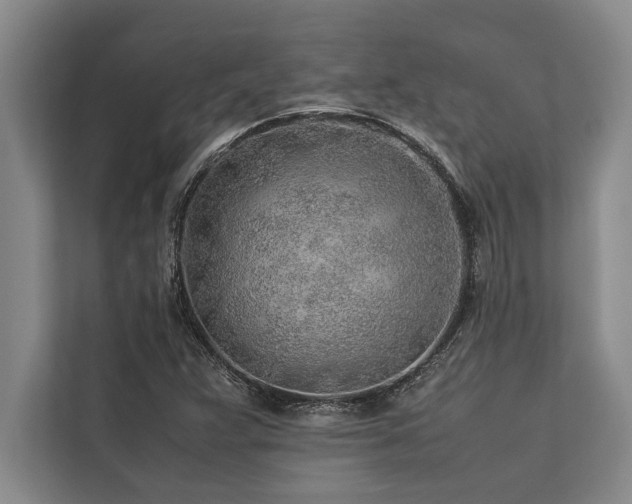 X0000113641359200909181448