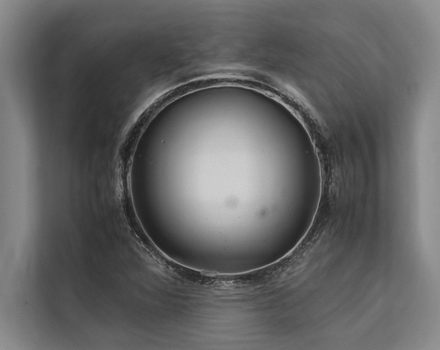 X0000113641360200909181448