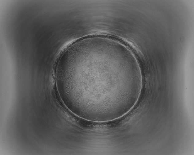 X0000113641363200909181448