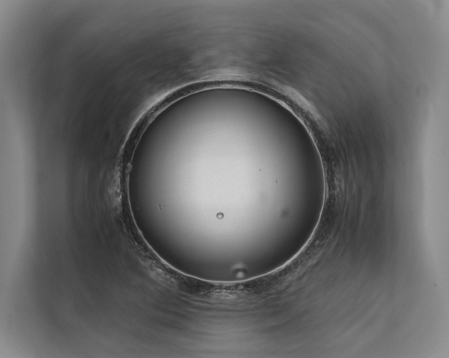 X0000113641364200909181448