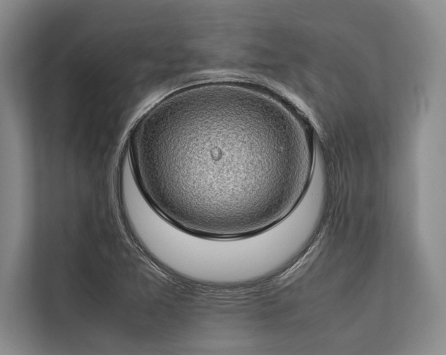 X0000113641365200909181448