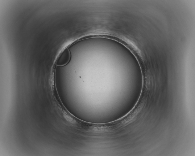 X0000113641366200909181448