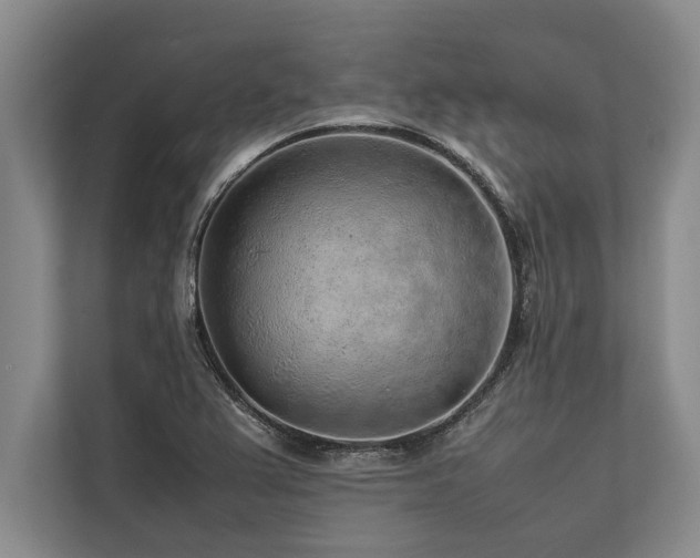 X0000113641367200909181448