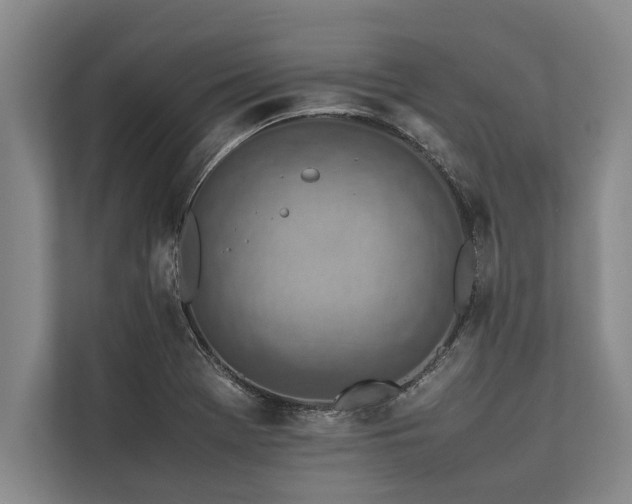 X0000113641369200909181448