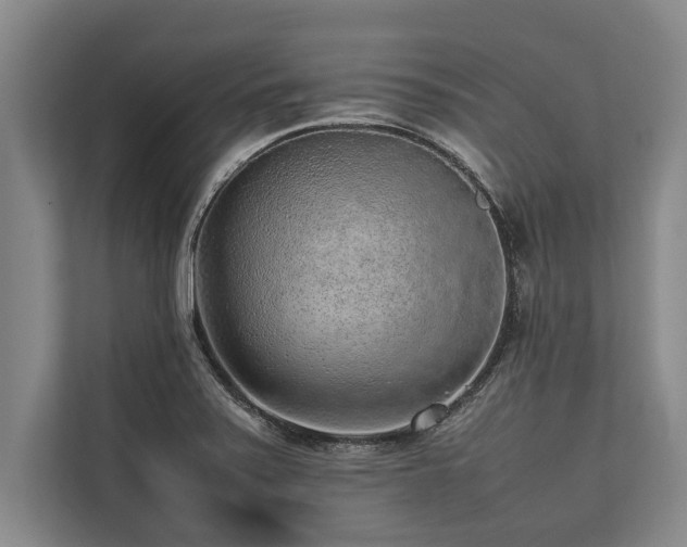 X0000113641371200909181448