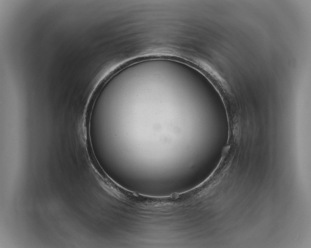 X0000113641372200909181448