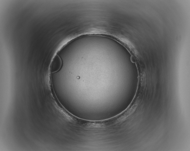 X0000113641374200909181448