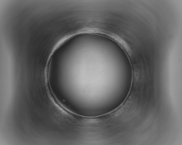 X0000113641382200909181448