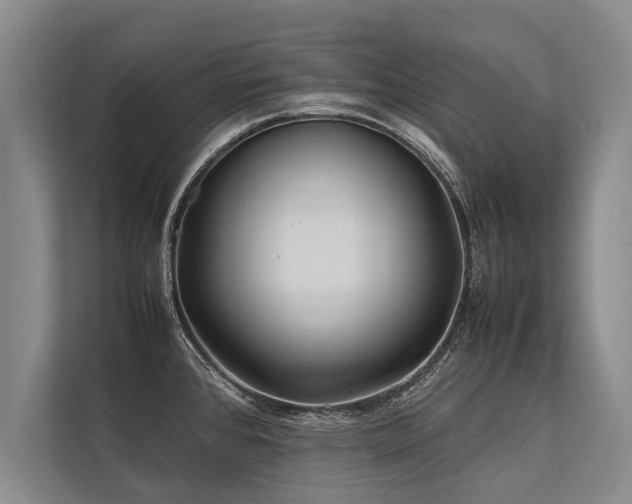 X0000113641384200909181448