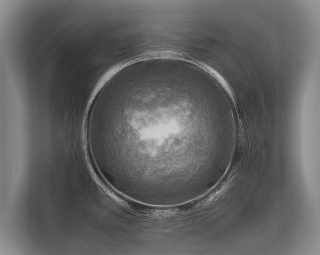 X0000113641389200909181448