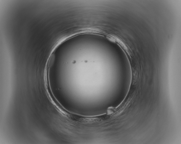 X0000113641391200909181448