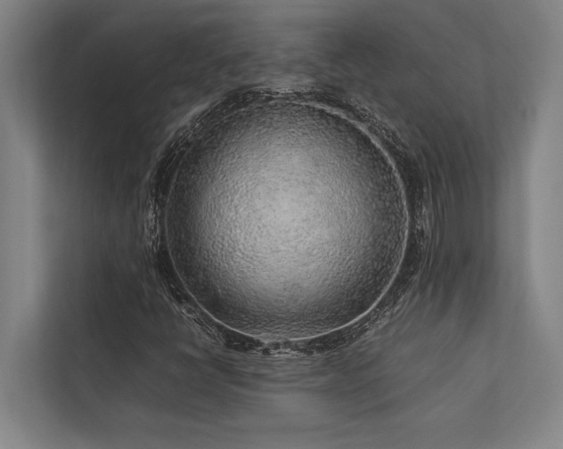 X0000113641398200909181447