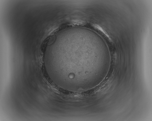 X0000113641399200909181447