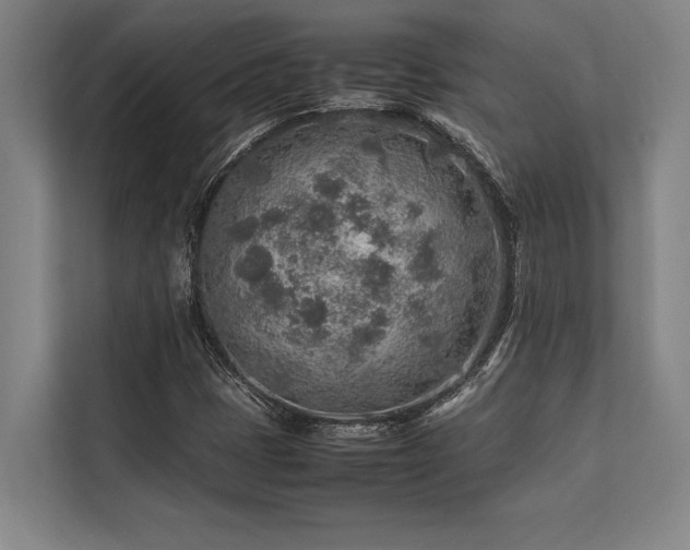 X0000113641401200909181447