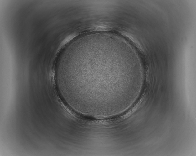 X0000113641402200909181447