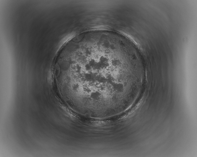 X0000113641405200909181447
