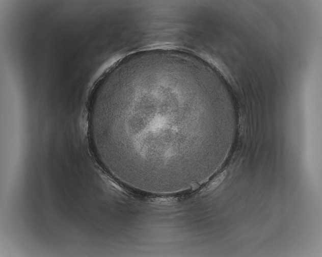 X0000113641406200909181447