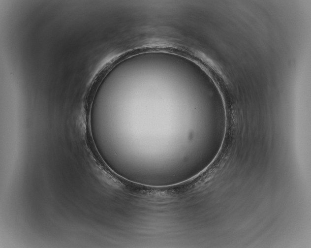 X0000113641408200909181447