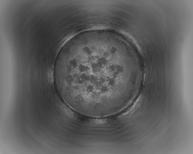 X0000113641409200909181447