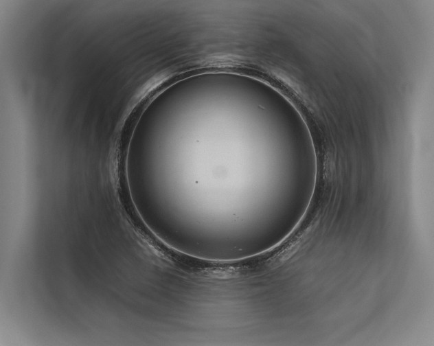 X0000113641410200909181447