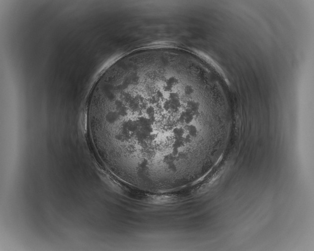 X0000113641413200909181447