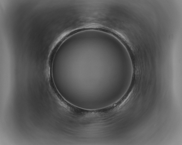 X0000113641414200909181447