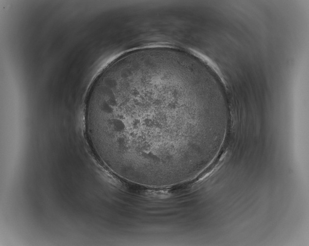 X0000113641415200909181447