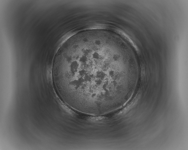 X0000113641417200909181447