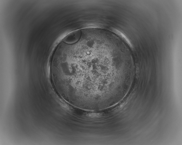 X0000113641419200909181447
