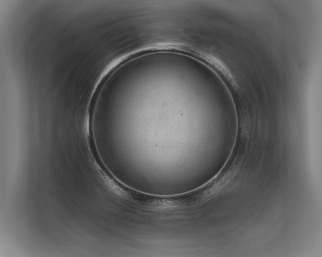 X0000113641420200909181447