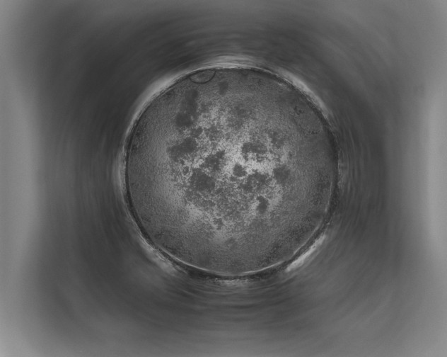 X0000113641421200909181447