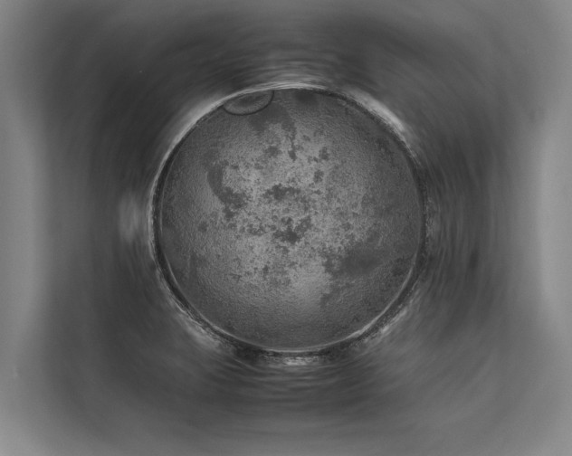 X0000113641423200909181447