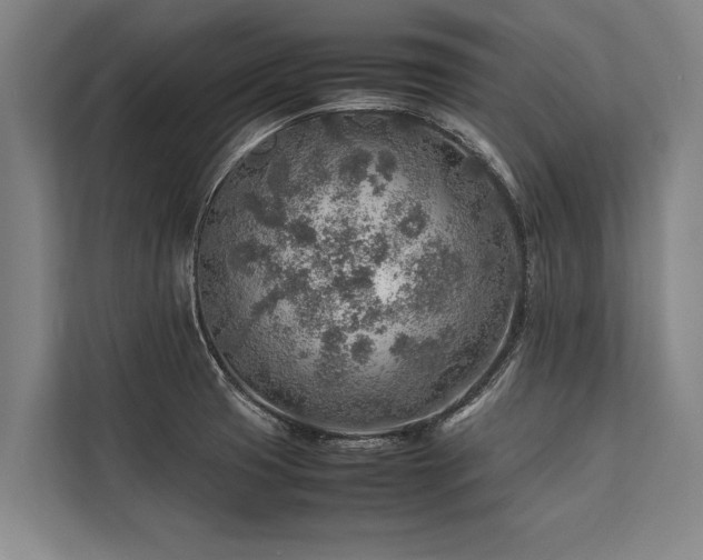 X0000113641425200909181447