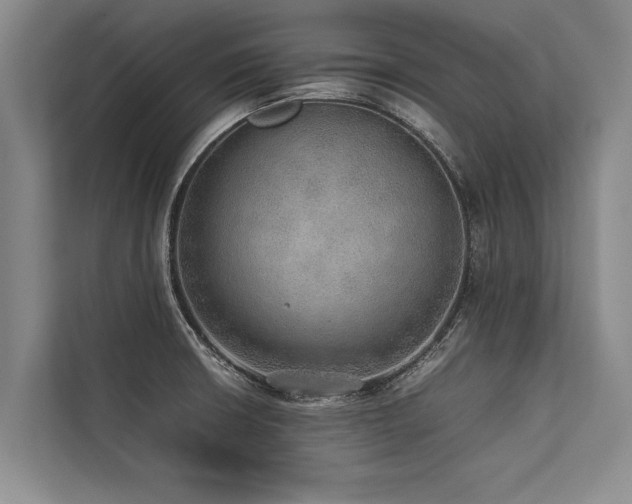 X0000113641426200909181447