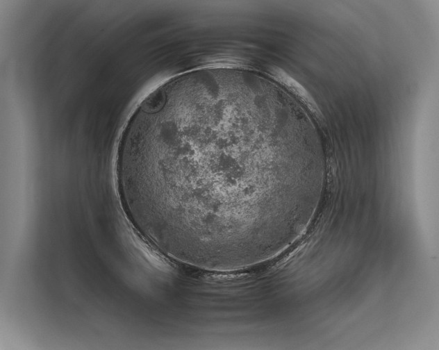 X0000113641427200909181447