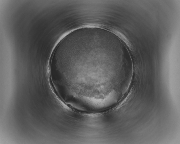 X0000113641428200909181447
