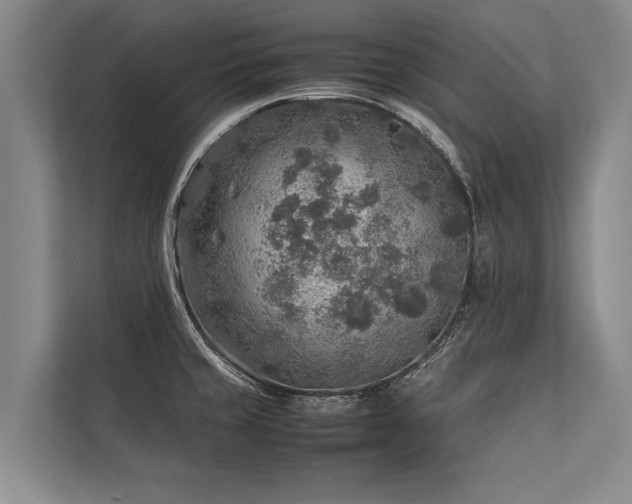 X0000113641429200909181448