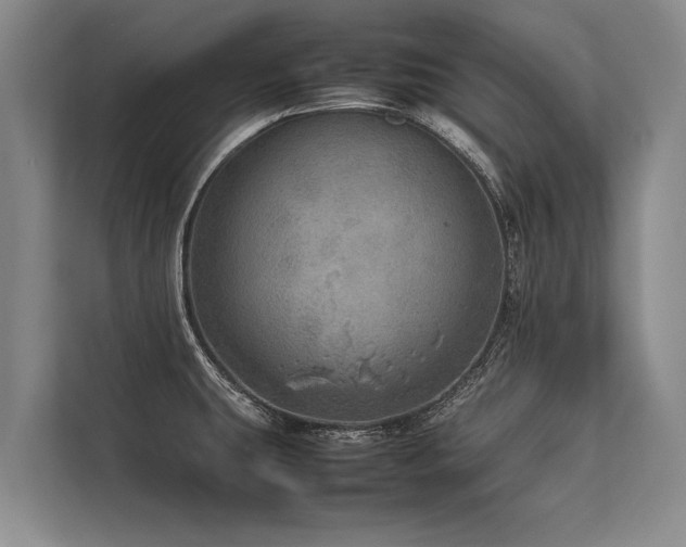 X0000113641431200909181448