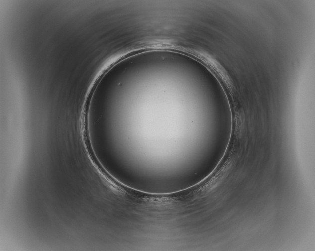 X0000113641432200909181448