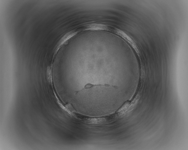 X0000113641433200909181448