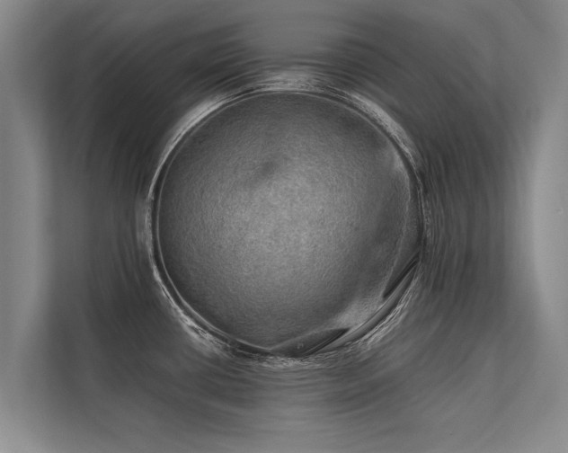 X0000113641434200909181448