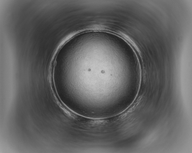 X0000113641437200909181448