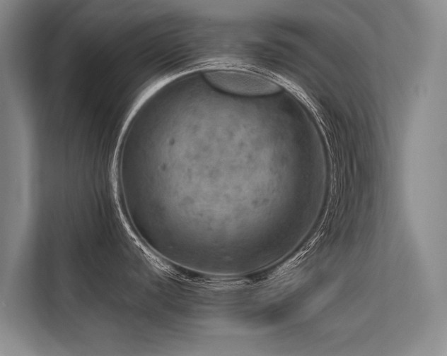 X0000113641440200909181448