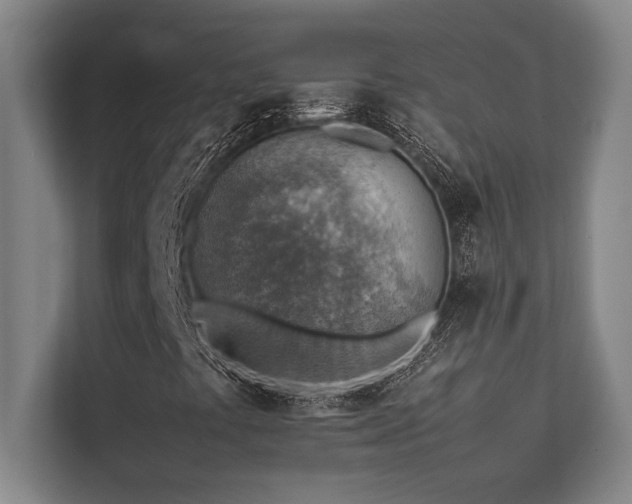 X0000113641441200909181447