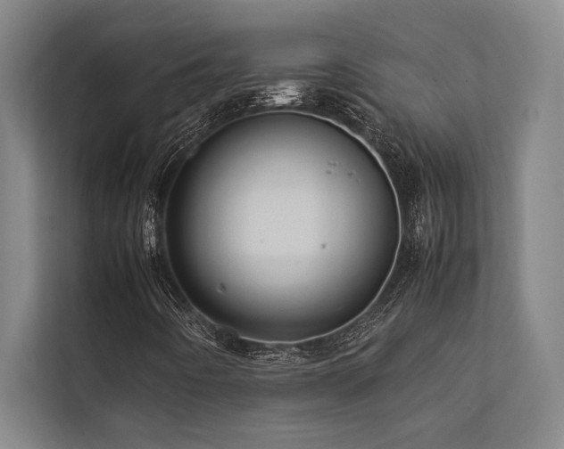 X0000113641442200909181447