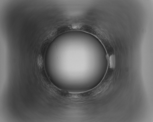 X0000113641443200909181447