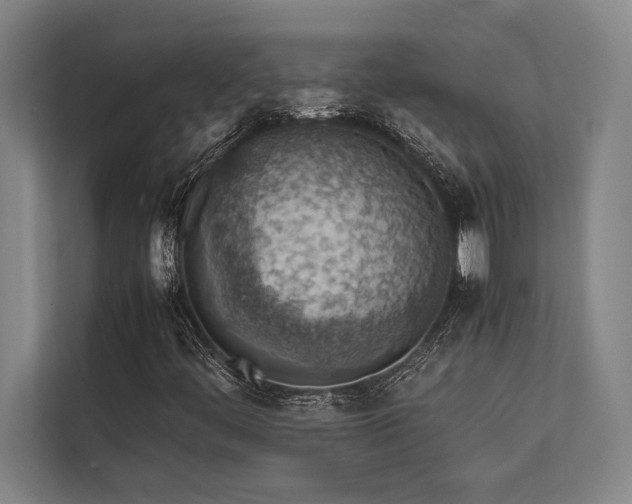 X0000113641444200909181447